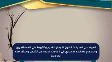 تعرف على تعديلات قانون الإيجار القديم وتأثيرها على المستأجرين والسماح بالإخلاء الإجباري في 7 حالات جديدة هل تشمل وحدتك هذه الحالات؟